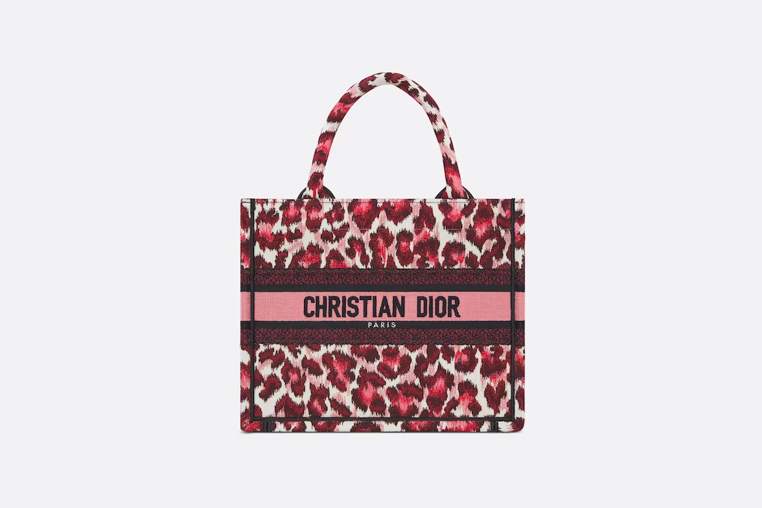 SMALL DIOR BOOK TOTE